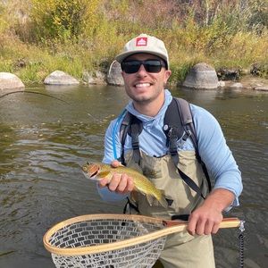 Meet your Posher, Thomas